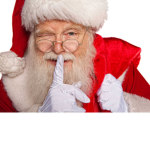 THE SANTA'S LITTLE HELPERS