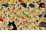DOGE ARMY Group Thumbnail