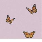 Sparkly butterfly