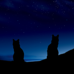 ~Starlit Embers~ Group Thumbnail