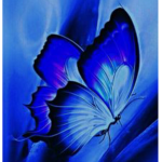 Sapphire sky’s