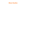 Blaze Studio!