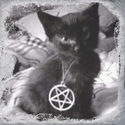 ⛧🐈‍⬛