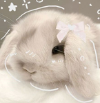 Mia’s bow’s !!