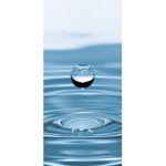The -issocools