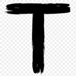 Tylxr_Bxildzz Studio