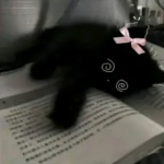 Shadow girl<3