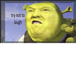 meme museum