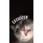 Catioizom
