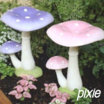 pïxie
