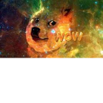 Baby doge group