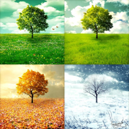 The Seasons Obby