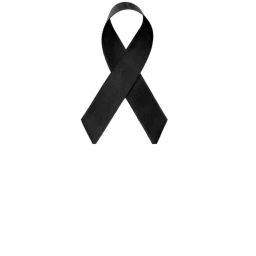 Primos Memorial icon