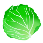 Team Lettuce