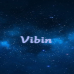 TheVibeSquad