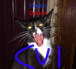 TOCVI