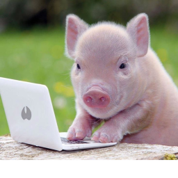 Rp For The Best Piggys unite