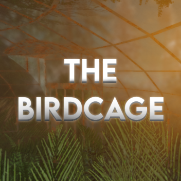 𝚃𝙷𝙴 𝙱𝙸𝚁𝙳𝙲𝙰𝙶𝙴