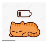 The Kitty Group Meow