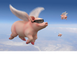 DEADLY GO GO PIG