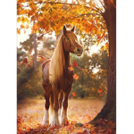 Autumn Ridge Equestrian Academy
