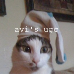 avi's ugc