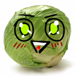 CABBAGE SQUAD (almost perfect)