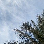 هايًًي