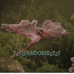 ??FANDOMS??