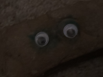 The_rock_gang