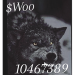 $Woo