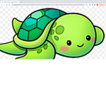TURTLE. KINGDOM
