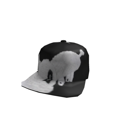 Guizarstore hat