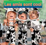 les amis sont cool