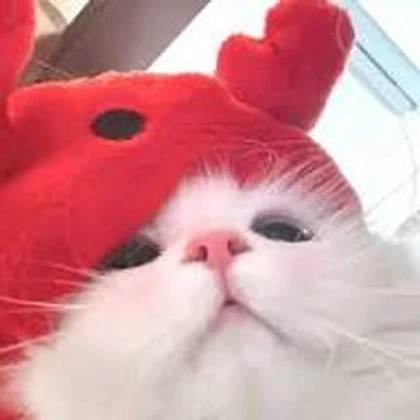 The Rin studio Roblox group icon