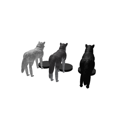 Wolf Morphs
