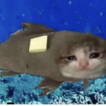 :))))))))))))))))))))))))))))))))))))())))))))))))