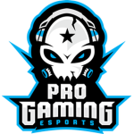 Pro Roblox Gamer Only!
