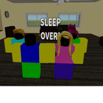 The Newbie Household