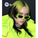 Billie Ellish fan groupppp