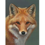 Fancy Foxes For Life