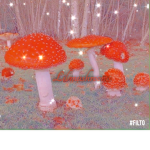 ~little mushrooms~