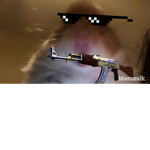 Hamster gang Fun Group
