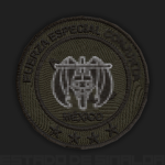 Fuerza Especial Conjunta
