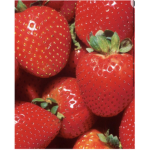 Straw-berry:D