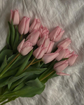 Tulipanes, ( Terapia )
