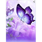 ,butterflies,