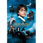 Harry potter the happy boy