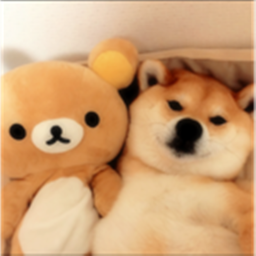 Doge Cafe