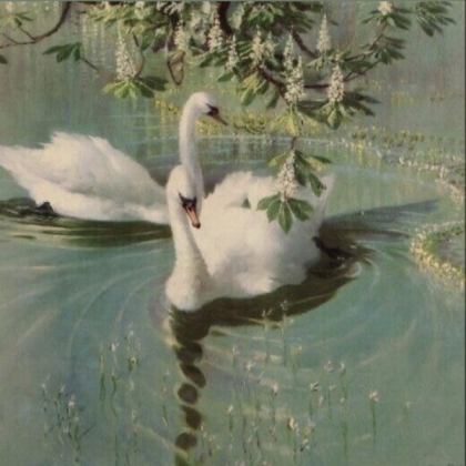 swans pond sage green aesthetic cottagecore Roblox decal